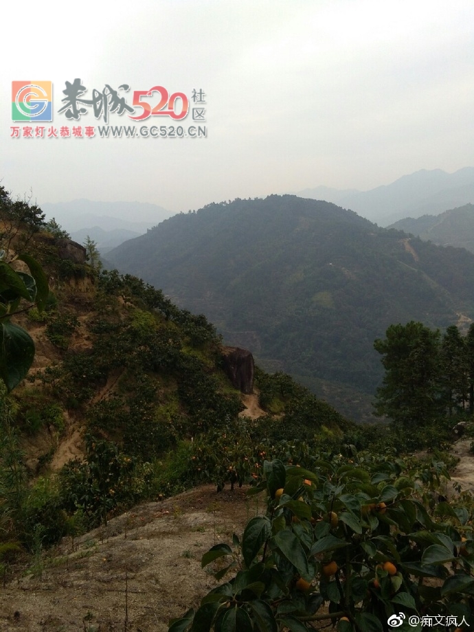恭城兰洞瑶山80多岁老人居住10多载的岩洞374 / 作者:东门头人 / 帖子ID:238218