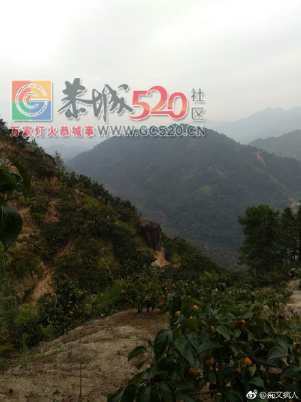恭城兰洞瑶山80多岁老人居住10多载的岩洞442 / 作者:东门头人 / 帖子ID:238218