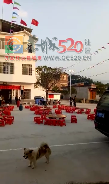 好热闹！！看吉山新村九月九活动晚会马上开始535 / 作者:温存 / 帖子ID:238235