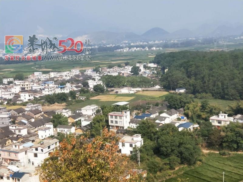 栗木镇大合这点风景讲不丑的啵！！161 / 作者:在广州的恭城人 / 帖子ID:238252