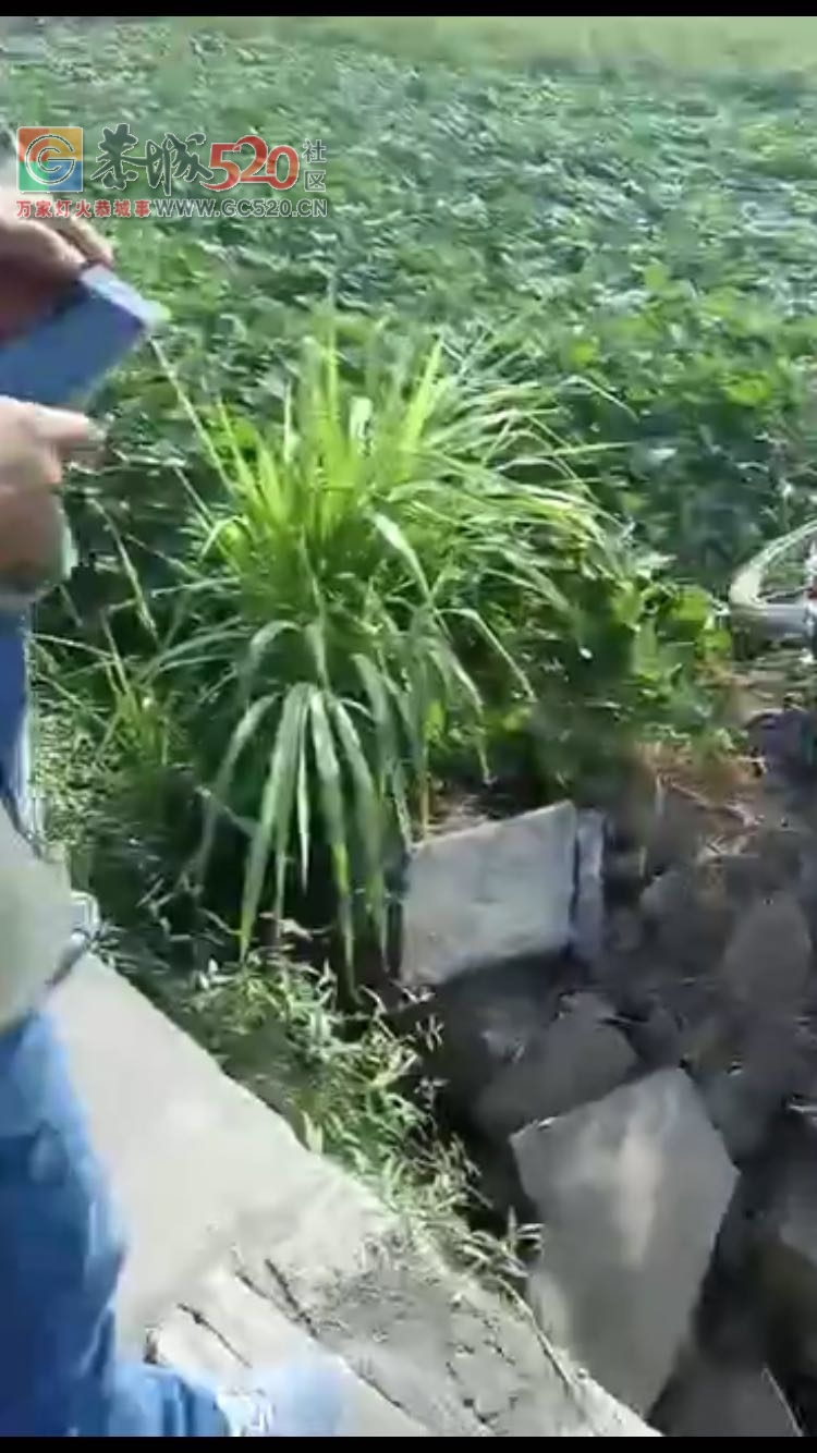 九板路口又一摩托车起飞失败。。140 / 作者:渲染人生 / 帖子ID:238255