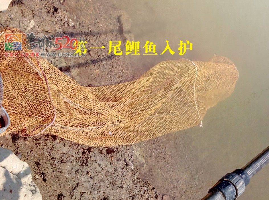 风大水消太阳晒渔获不佳 MDG535 / 作者:MDG / 帖子ID:238256