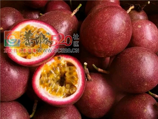 酸酸甜甜的现摘百香果出售641 / 作者:871225215 / 帖子ID:238288