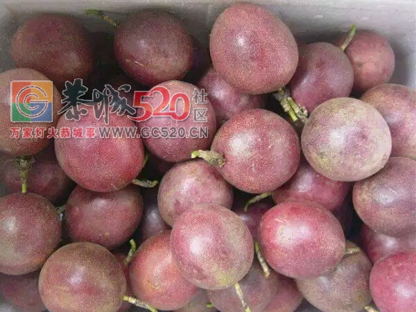 酸酸甜甜的现摘百香果出售324 / 作者:871225215 / 帖子ID:238288