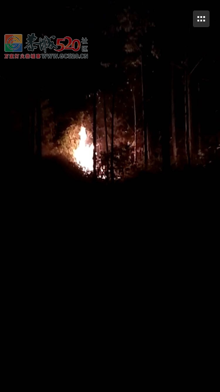 森林火灾到底归谁管？——昨晚恭高州发生火灾致电有关部门竟无人管！！！537 / 作者:baby甜心 / 帖子ID:238343