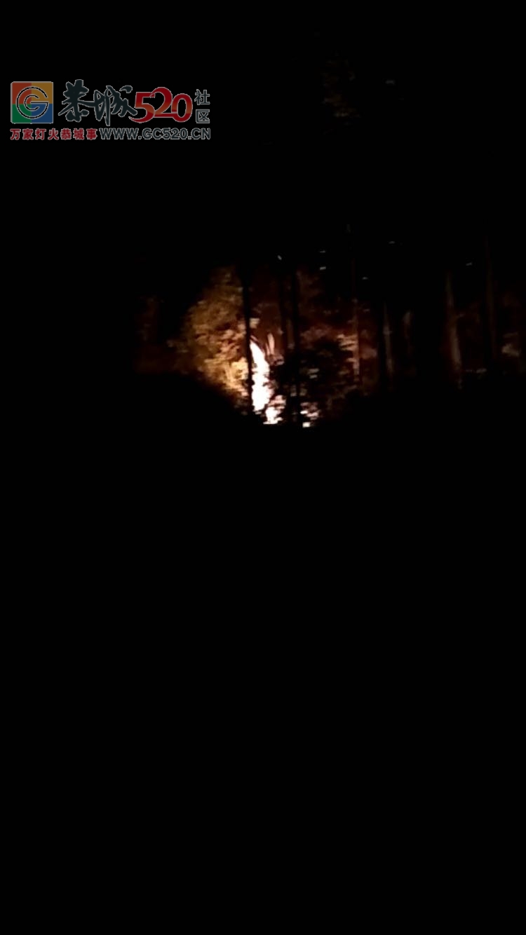 森林火灾到底归谁管？——昨晚恭高州发生火灾致电有关部门竟无人管！！！295 / 作者:baby甜心 / 帖子ID:238343