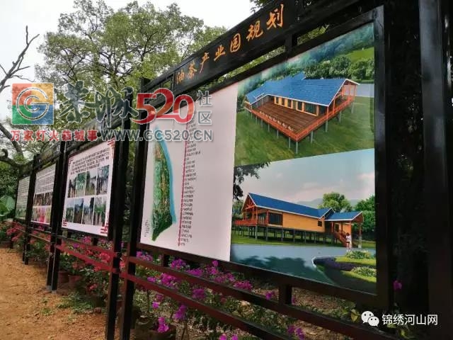 乐湾--恭城那一道靓丽的风景线853 / 作者:边吃边拉 / 帖子ID:238347