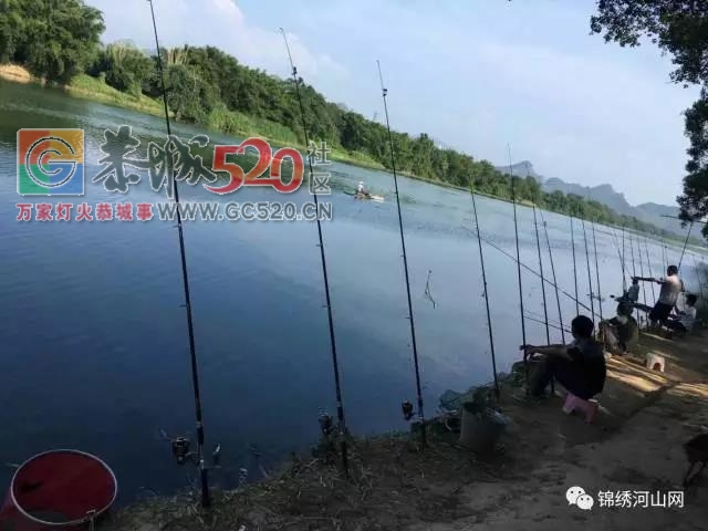 乐湾--恭城那一道靓丽的风景线225 / 作者:边吃边拉 / 帖子ID:238347