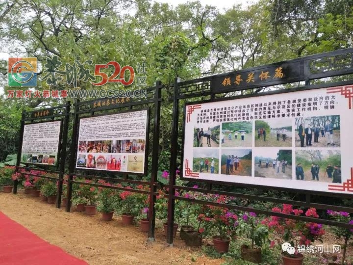 乐湾--恭城那一道靓丽的风景线562 / 作者:边吃边拉 / 帖子ID:238347