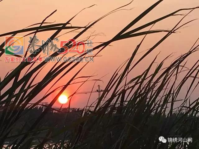 乐湾--恭城那一道靓丽的风景线14 / 作者:边吃边拉 / 帖子ID:238347