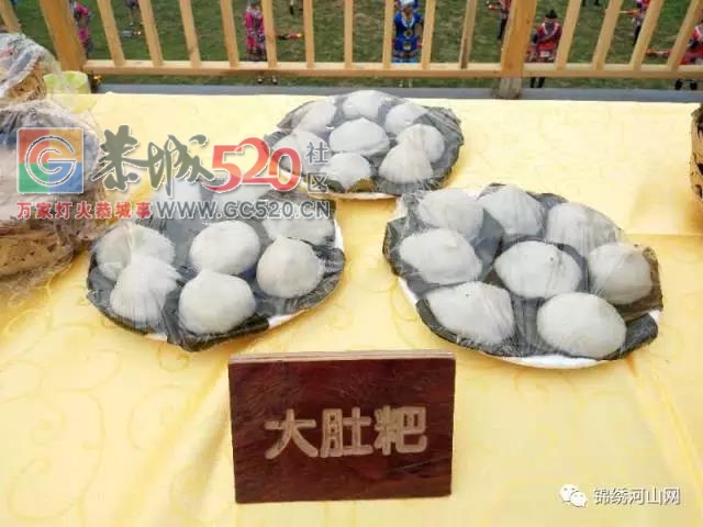 乐湾--恭城那一道靓丽的风景线315 / 作者:边吃边拉 / 帖子ID:238347
