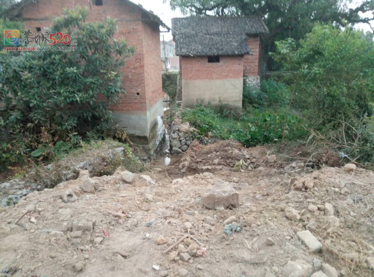 庄埠村干部把房建在排水沟至全村农田泡水多年，至今无人敢拆！！！659 / 作者:茶江余晖 / 帖子ID:238349