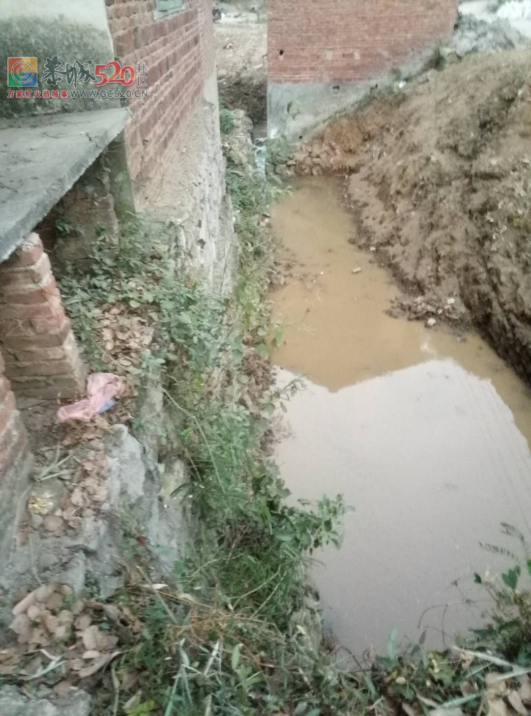 庄埠村干部把房建在排水沟至全村农田泡水多年，至今无人敢拆！！！221 / 作者:茶江余晖 / 帖子ID:238349