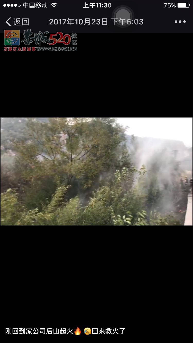 森林火灾到底归谁管？——昨晚恭高州发生火灾致电有关部门竟无人管！！！893 / 作者:该做的事情 / 帖子ID:238343
