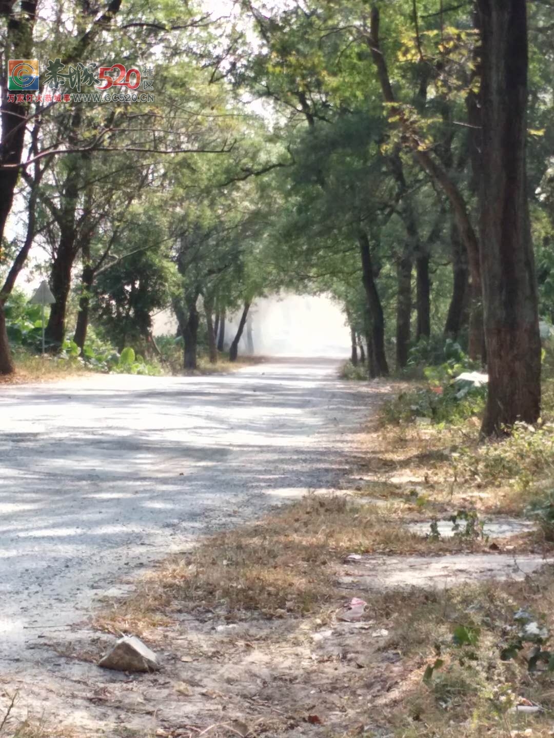 栗木锡矿八十亩垃圾场着火其臭无比影响附近村民无人处理！！575 / 作者:昨天已不在 / 帖子ID:238364