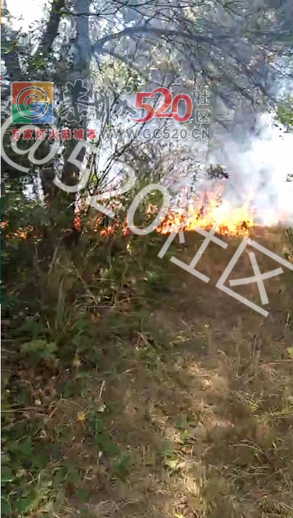 现在的消防有点飘——栗木马头寨又现山林大火致电119不予施救。569 / 作者:丫丫妹 / 帖子ID:238378
