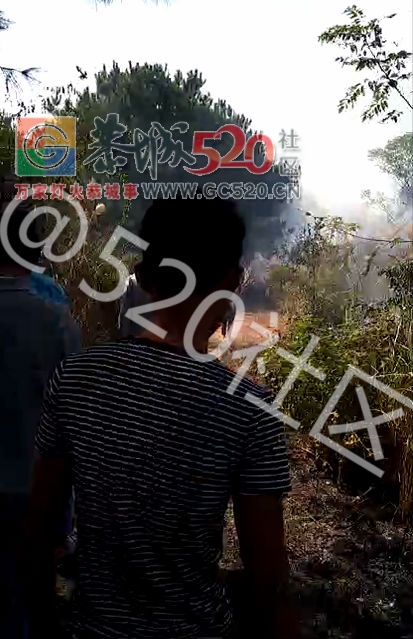 现在的消防有点飘——栗木马头寨又现山林大火致电119不予施救。107 / 作者:丫丫妹 / 帖子ID:238378