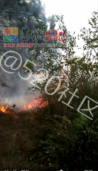 现在的消防有点飘——栗木马头寨又现山林大火致电119不予施救。611 / 作者:丫丫妹 / 帖子ID:238378