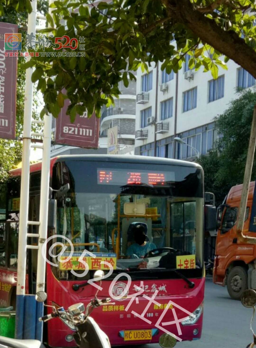 某西岭公交司机，你这样对老人没得好下场的！！！357 / 作者:山路十八弯 / 帖子ID:238386