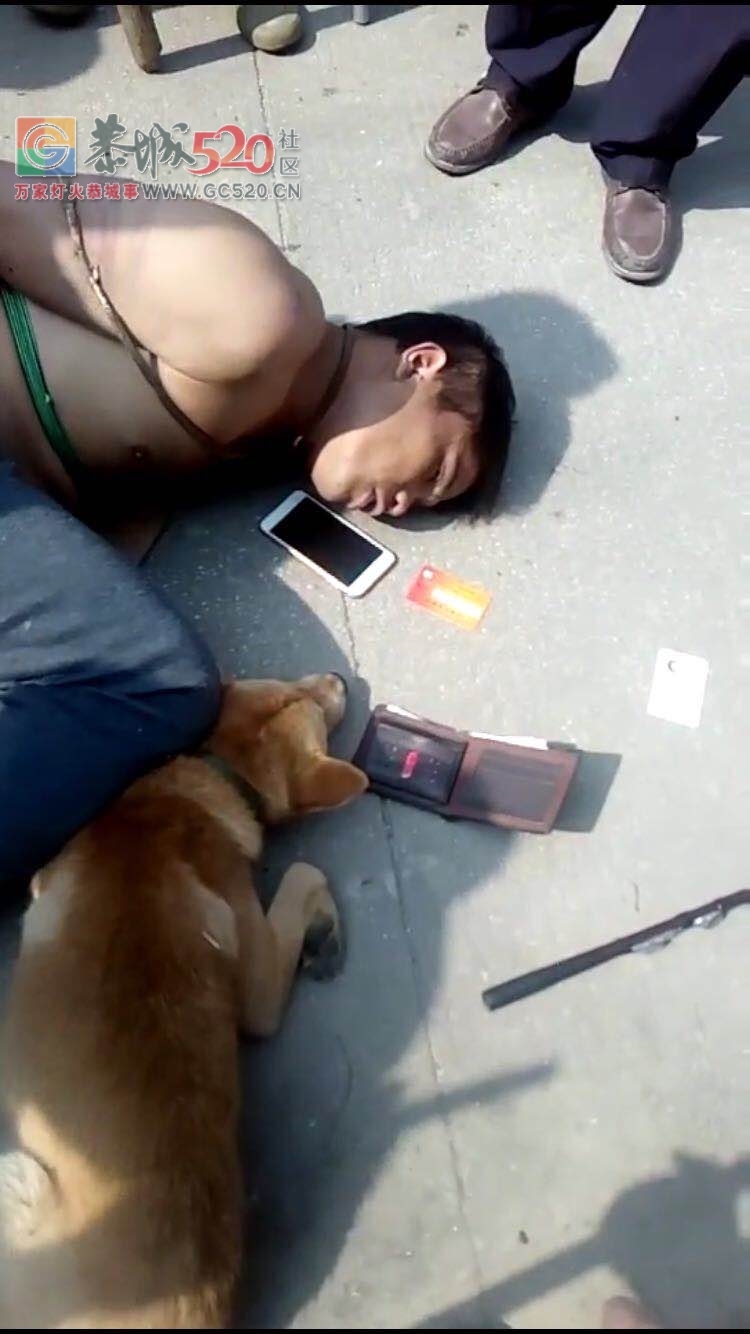 广西一偷狗贼被当地村民打断手脚！！看你们还敢不敢偷！！417 / 作者:丽丽看花 / 帖子ID:238398