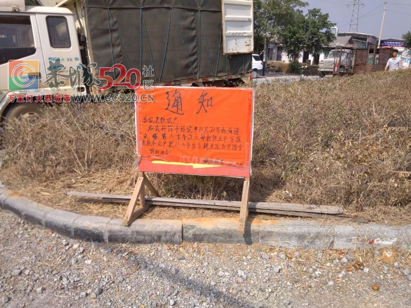 恭城嘉会三岔路柿饼交易量暴增，有人欢喜有人忧！！635 / 作者:baby甜心 / 帖子ID:238405