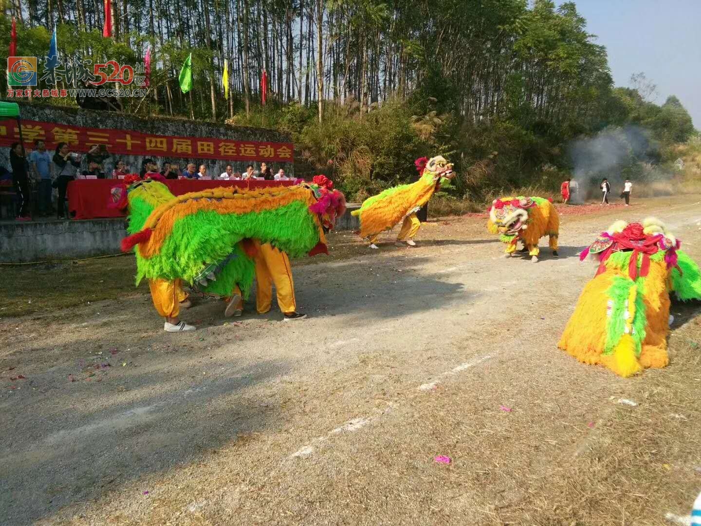 栗木中学第34届校运会开场好热闹———舞龙又舞狮！505 / 作者:thkfh / 帖子ID:238407