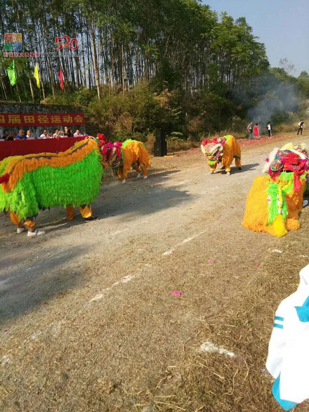 栗木中学第34届校运会开场好热闹———舞龙又舞狮！830 / 作者:thkfh / 帖子ID:238407