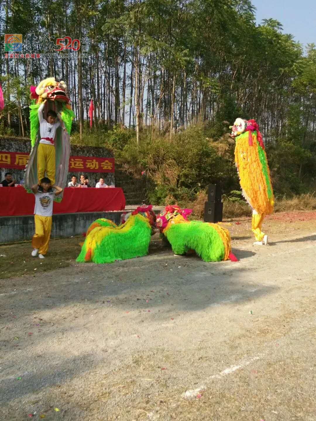 栗木中学第34届校运会开场好热闹———舞龙又舞狮！385 / 作者:thkfh / 帖子ID:238407