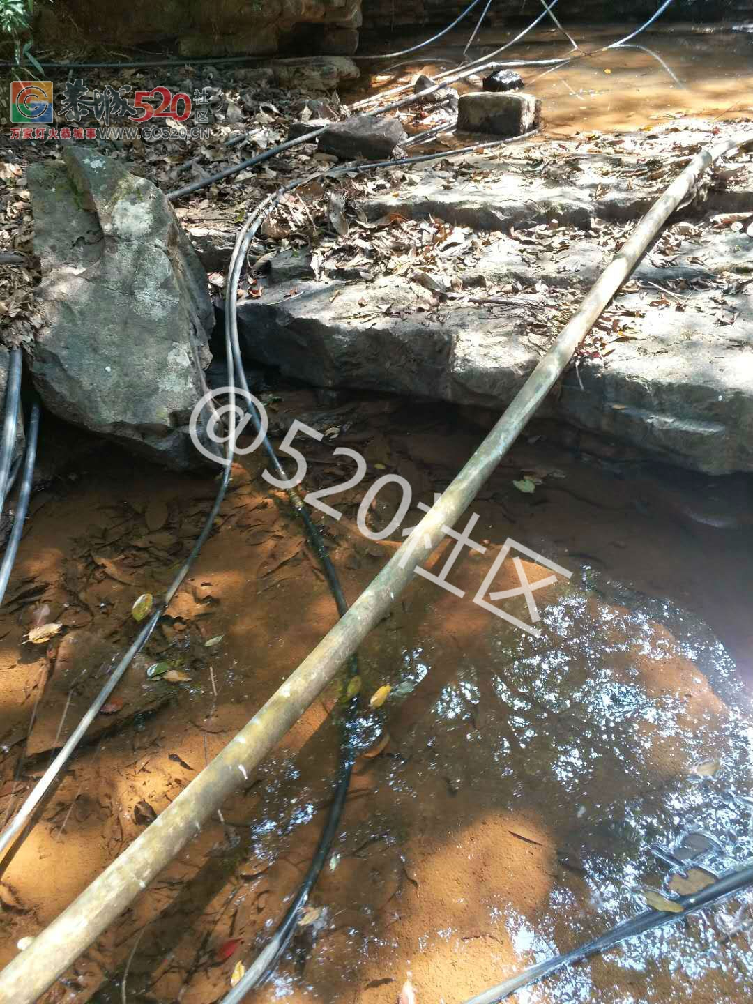 恭城龙岗龙角水源断流，用水工程还未完工已验收，我们的饮用水怎么办？991 / 作者:单身汉子 / 帖子ID:238409