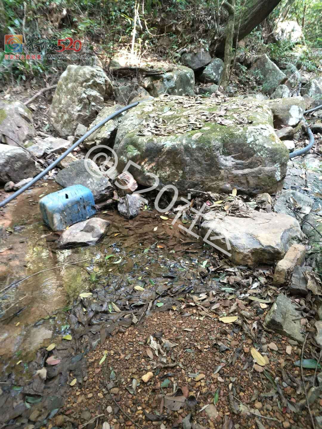 恭城龙岗龙角水源断流，用水工程还未完工已验收，我们的饮用水怎么办？94 / 作者:单身汉子 / 帖子ID:238409