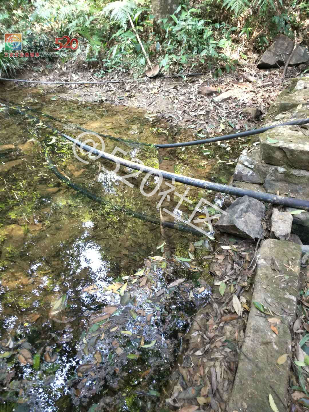 恭城龙岗龙角水源断流，用水工程还未完工已验收，我们的饮用水怎么办？831 / 作者:单身汉子 / 帖子ID:238409