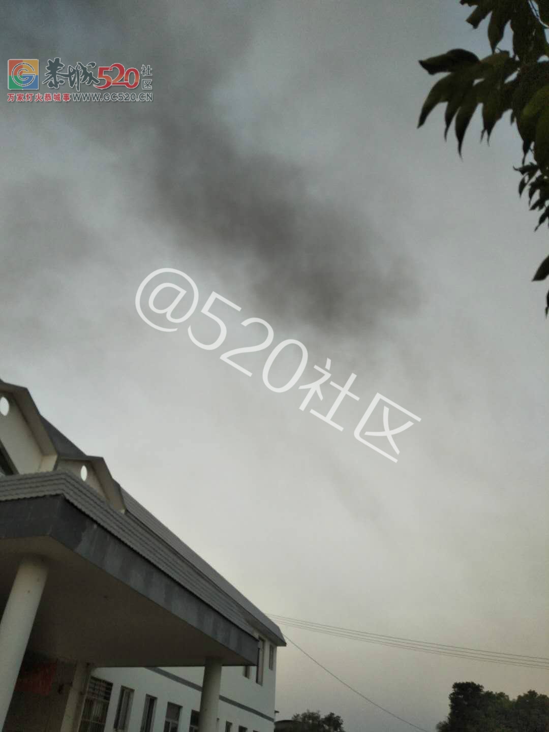 西岭医院有人天天烧药水瓶，臭气熏天，严重污染环境！！650 / 作者:纯粮正宗土鸡 / 帖子ID:238410