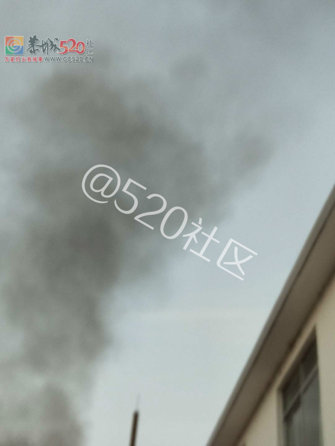 西岭医院有人天天烧药水瓶，臭气熏天，严重污染环境！！927 / 作者:纯粮正宗土鸡 / 帖子ID:238410