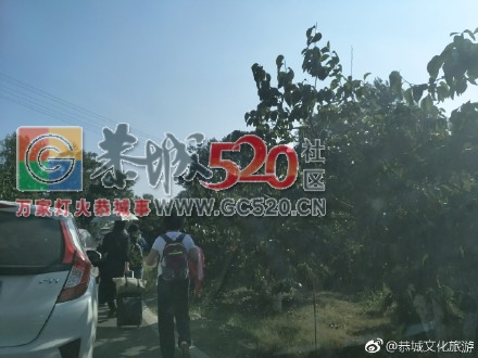 第十四届桂林恭城月柿节暨第七届恭城油茶文化节前奏…我在红岩风雨桥等你&#160;858 / 作者:额外听歌 / 帖子ID:238414