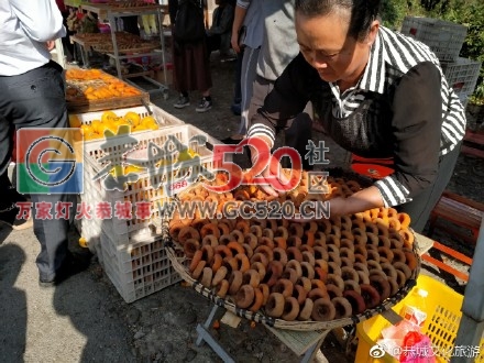 第十四届桂林恭城月柿节暨第七届恭城油茶文化节前奏…我在红岩风雨桥等你&#160;297 / 作者:额外听歌 / 帖子ID:238414