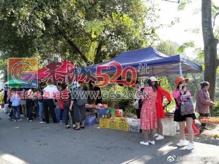 第十四届桂林恭城月柿节暨第七届恭城油茶文化节前奏…我在红岩风雨桥等你&#160;307 / 作者:额外听歌 / 帖子ID:238414