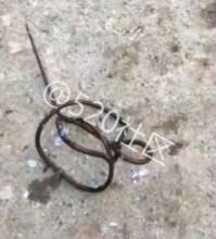恭城观音网友发来曝料：小小“铁丝”竟暗藏如此威力，惊！553 / 作者:茶江人 / 帖子ID:238433