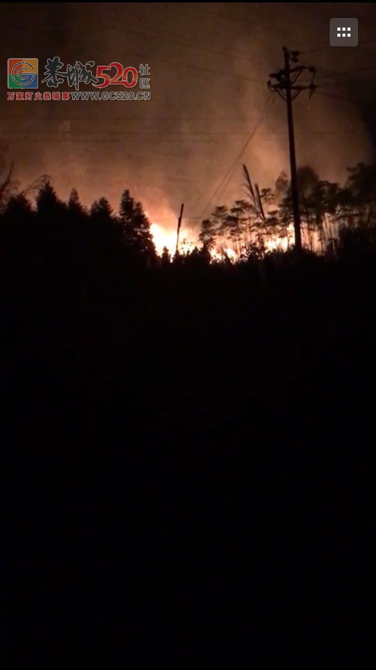 恭城蓝家厂旁边又起大火了。310 / 作者:thkfh / 帖子ID:238440