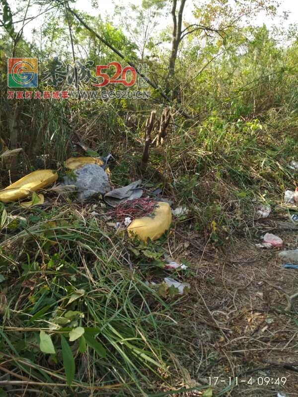 什么情况！牛角山路口垃圾成堆600 / 作者:东门头人 / 帖子ID:238479