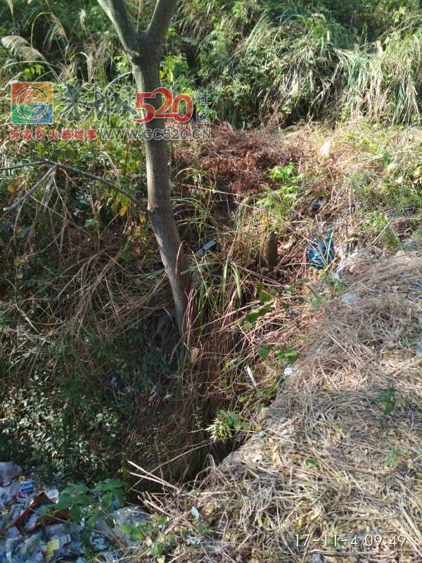 什么情况！牛角山路口垃圾成堆238 / 作者:东门头人 / 帖子ID:238479