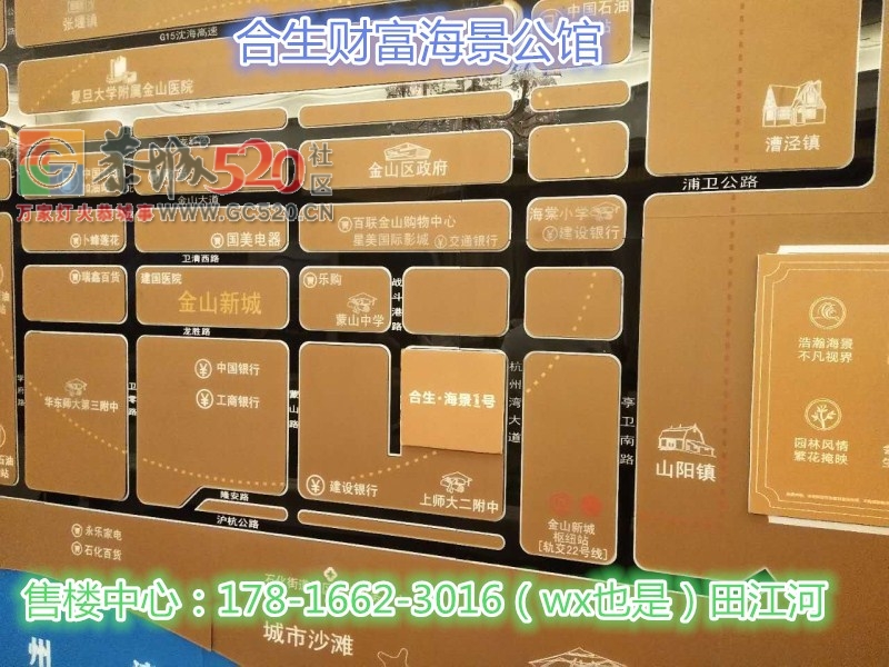 金山合生财富海景公馆——没有升值空间？值不值得投资？未来规划?671 / 作者:传奇生活 / 帖子ID:238482