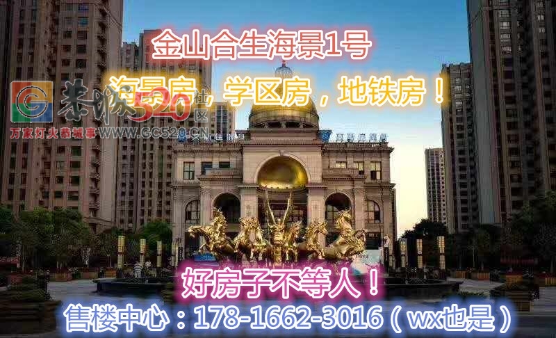 金山合生海景1号到底怎么样，价格能优惠到多少？224 / 作者:传奇生活 / 帖子ID:238506