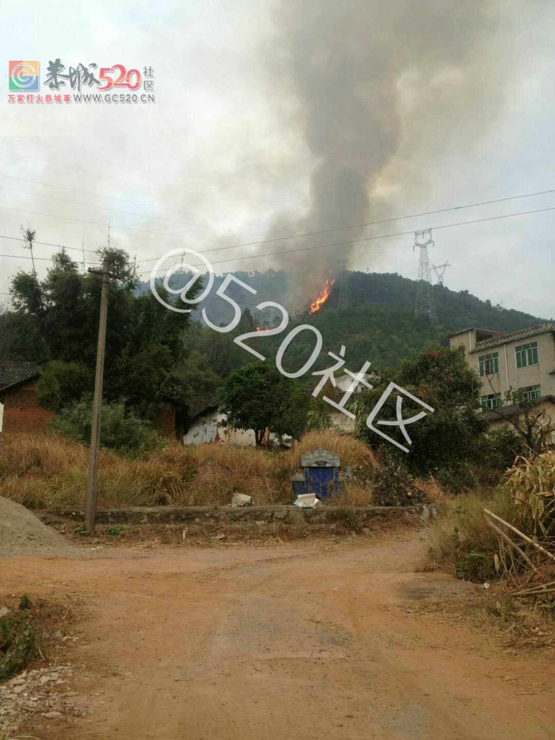 洲塘小学上面火烧山，好大一片了515 / 作者:馨予 / 帖子ID:238534