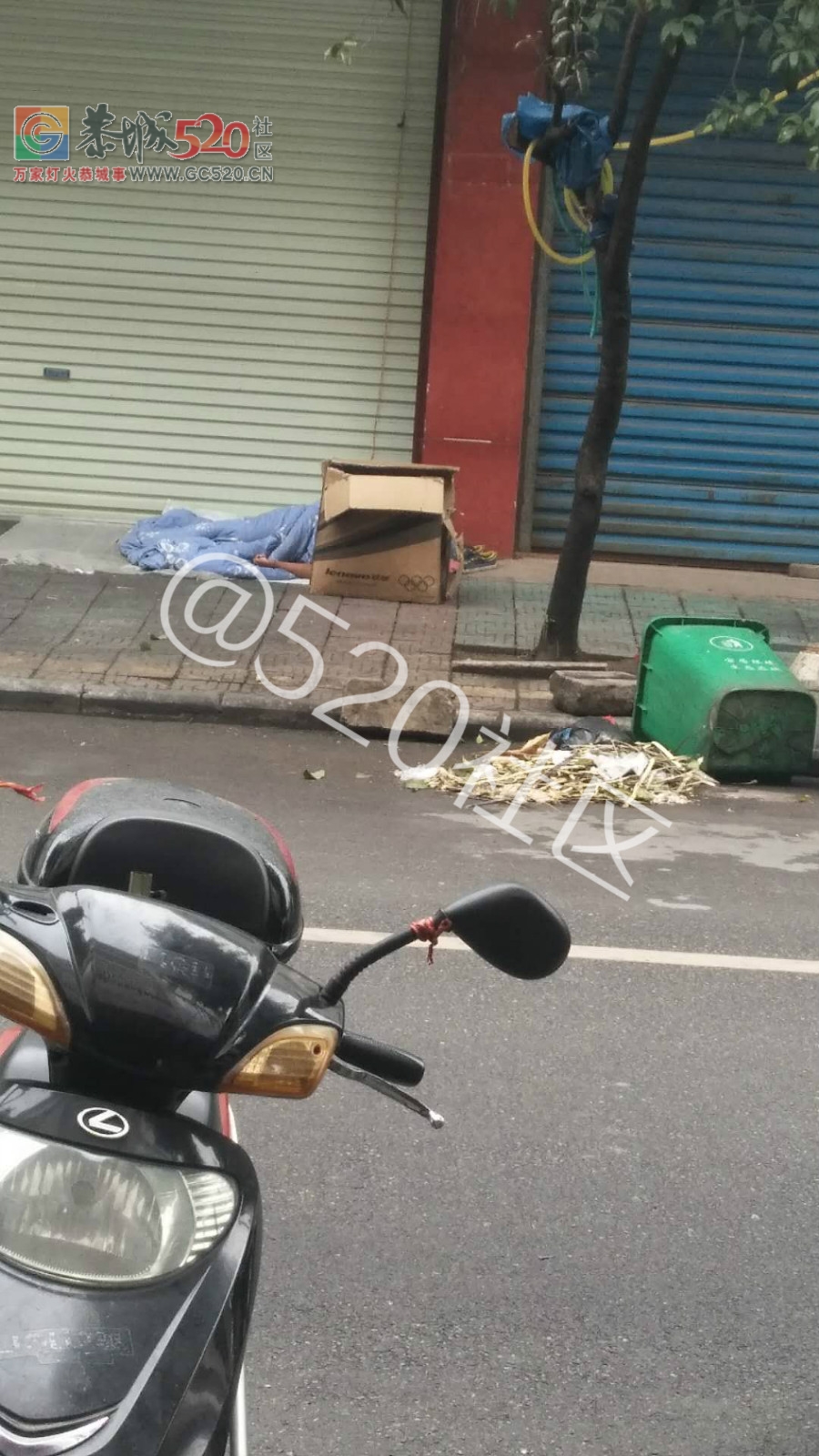 好可怜一个小孩，在外面大街睡起，他父母不管的吗754 / 作者:单身汉子 / 帖子ID:238547