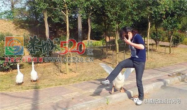 恭城农村四大霸主，见了要远远躲开，最后一种最厉害！610 / 作者:万事难两全 / 帖子ID:238578