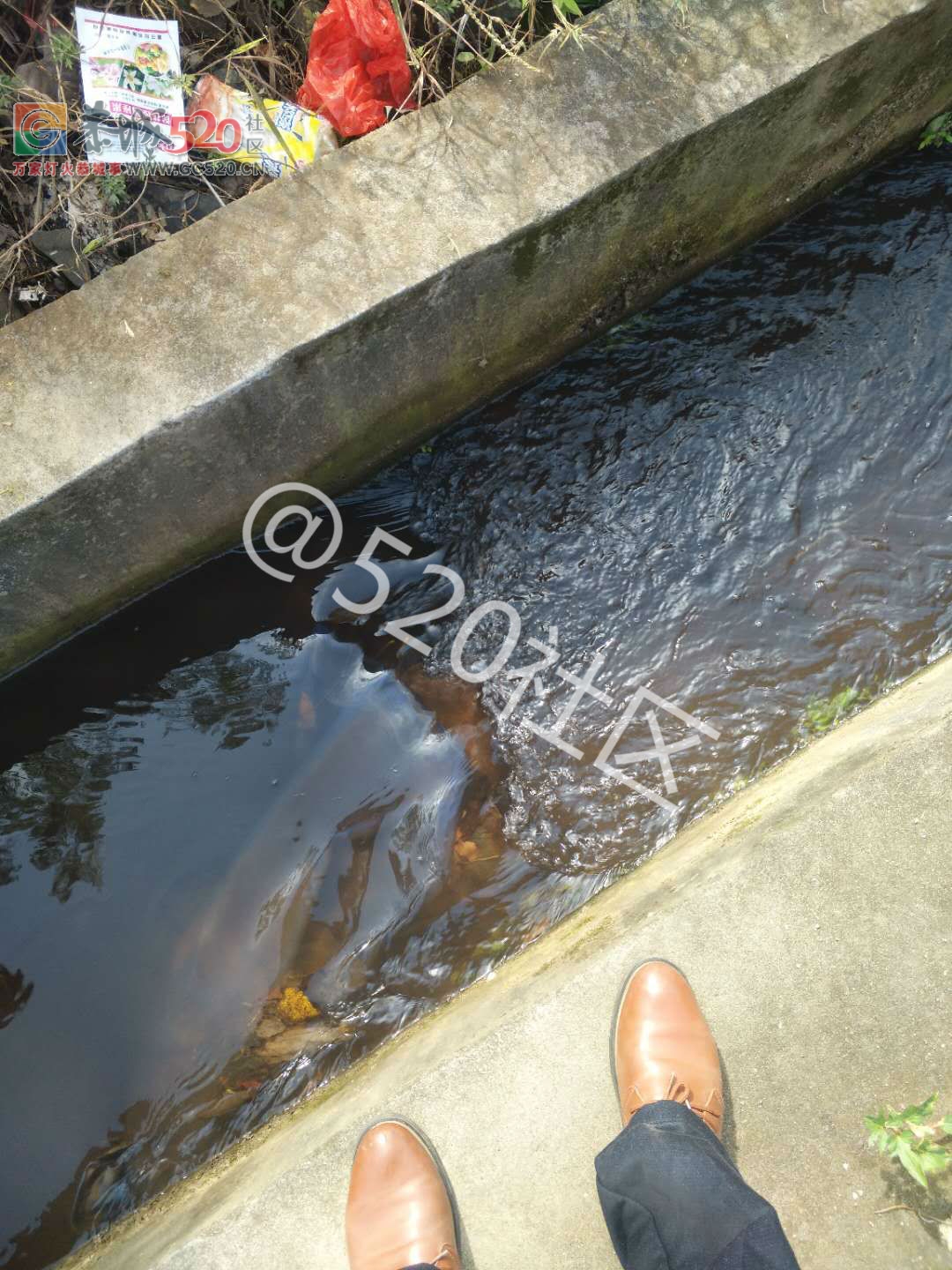 惊！！新街屠宰场的污水致井水成红色！！！！677 / 作者:人艰不拆 / 帖子ID:238606