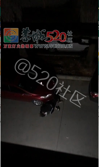 天下之大，无奇不有——恭城滨江苑一男女，吵架吵到直接在大街上Papapa!!!192 / 作者:恭城油茶茶江水 / 帖子ID:241248