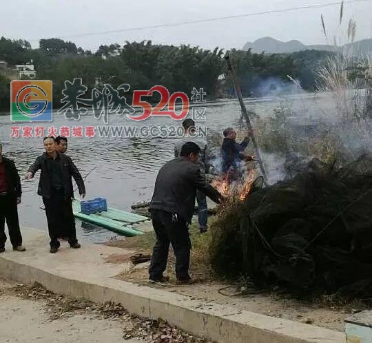 天还没亮 桂林恭城江面出现大量民警！谁又惹事了554 / 作者:baby甜心 / 帖子ID:241269
