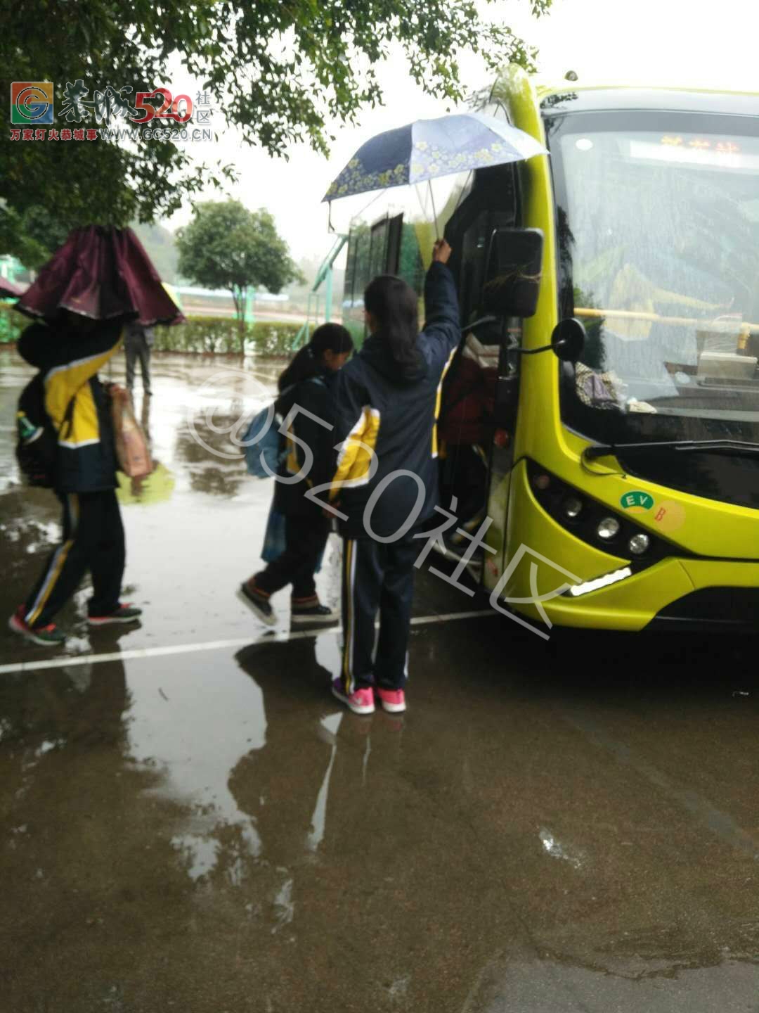 恭城民族中学暖心一幕：学姐帮上车的学弟学妹们撑伞757 / 作者:婷婷妹 / 帖子ID:245873