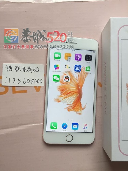 转iPhone6 Plus土豪金377 / 作者:6789 / 帖子ID:246088